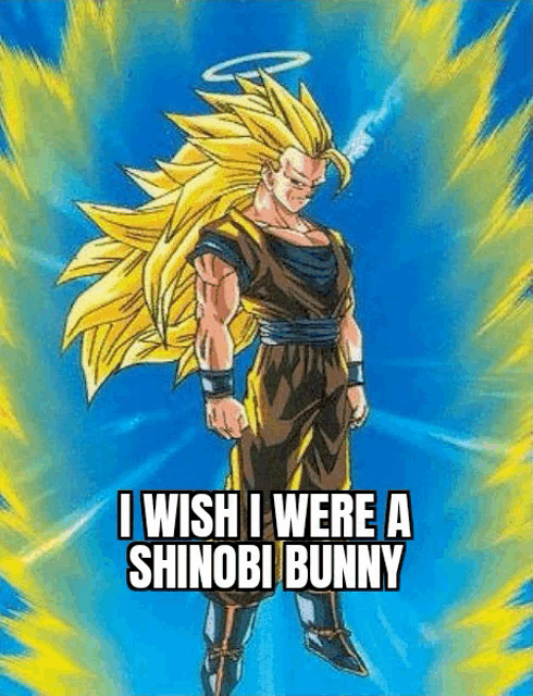 i wish i were a shinobi bunny