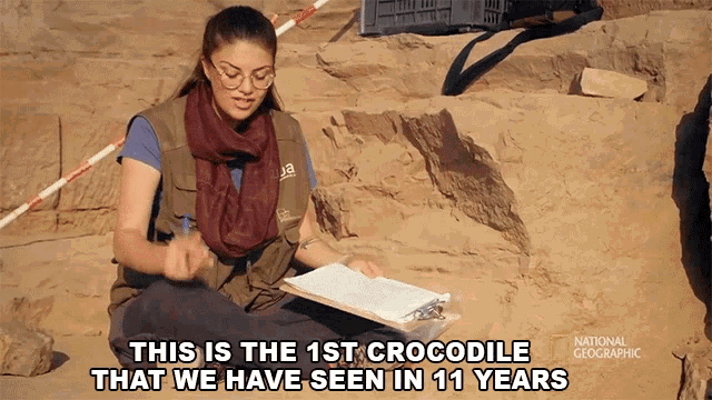 This Is The First Crocodile That We Have Seen In Eleven Years Mummified Crocodiles GIF - This Is The First Crocodile That We Have Seen In Eleven Years Mummified Crocodiles Crocodile Mummy GIFs