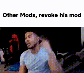 Mods Other Mods GIF - Mods Other Mods Other Mods Revoke His Mod GIFs