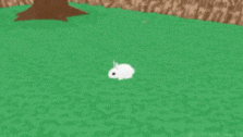 a white rabbit is standing in a grassy field next to a sign that says go f = % yourself