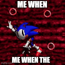 a picture of sonic the hedgehog with the words me when me when the on it .