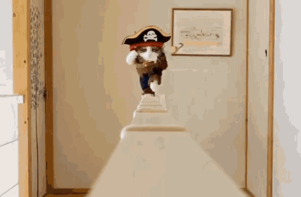 a cat dressed as a pirate is walking on a ladder .