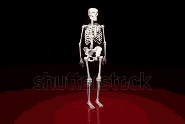 Skeleton Skeleton Fall Apart GIF - Skeleton Skeleton Fall Apart Skeleton Burst GIFs