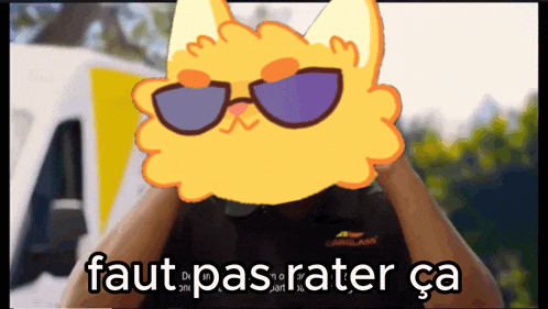 a cartoon of a cat wearing sunglasses with the words faut pas rater ca below it