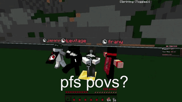 a screenshot of a video game with the words pfs povs on the screen