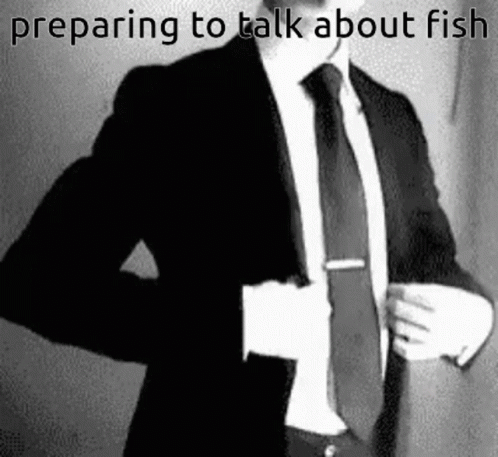 Preparing To Talk About Fish Fish GIF - Preparing To Talk About Fish Fish Talk About Fish GIFs