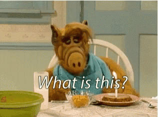 alf from the sitcom sits at a table with a bowl of cereal and a plate of food and asks " what is this "