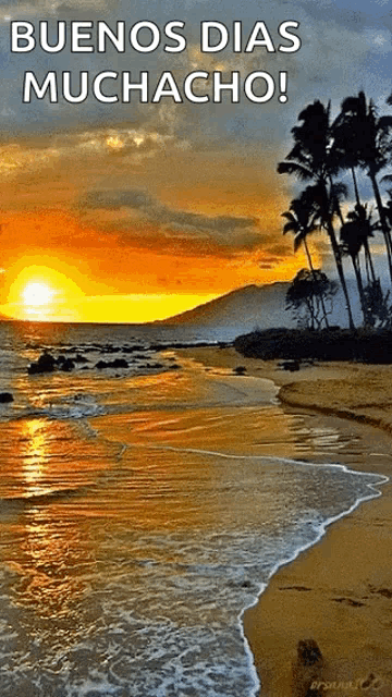 Beach Ocean GIF