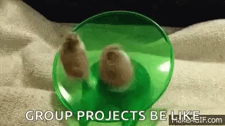 Group Projects Not GIF - Group Projects Not Helping GIFs