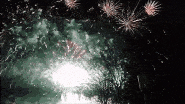 a bunch of fireworks are displayed in the night sky