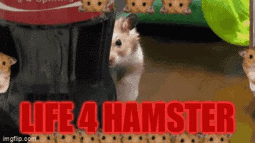 a hamster standing next to a coca cola bottle