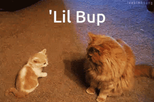 Lil Bup Ollie Bup GIF - Lil Bup Ollie Bup Boop GIFs