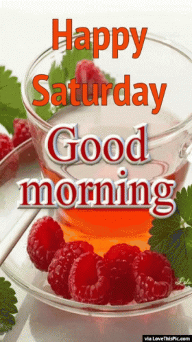 Happy Saturday Good Morning GIF - Happy Saturday Good Morning Good Day GIFs