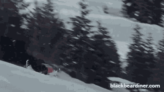 Skiing Skiis GIF - Skiing Skiis Snow GIFs