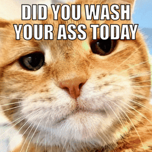 a close up of a cat with the words did you wash your ass today above it