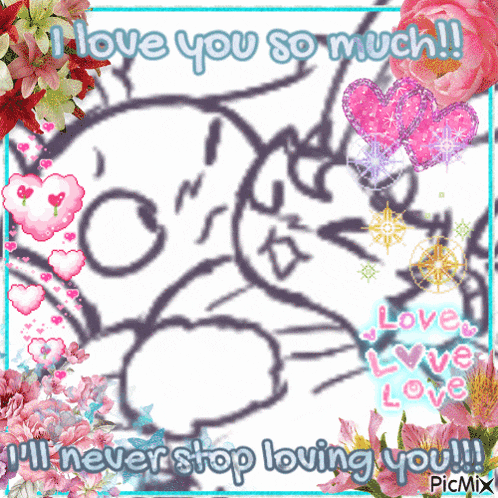 i love you so much i 'll never stop loving you !!!