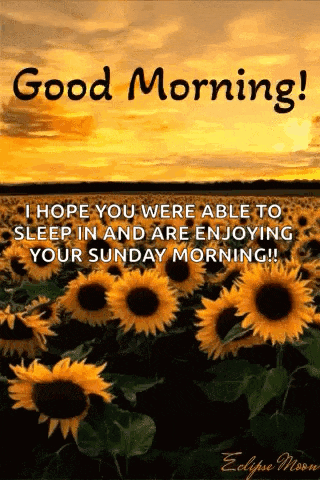 a picture of sunflowers with the words good morning i hope you were able to sleep in and are enjoying your sunday morning !