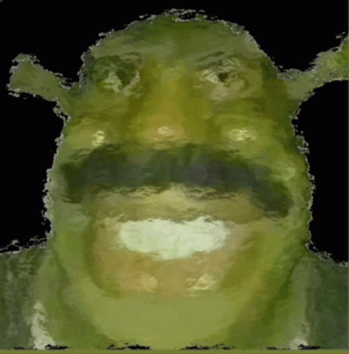 Shrek_mbtsm GIF - Shrek_mbtsm GIFs