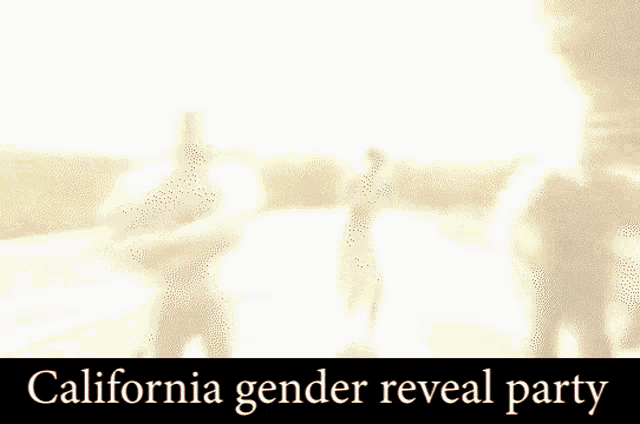 Gender Reveal GIF - Gender Reveal GIFs