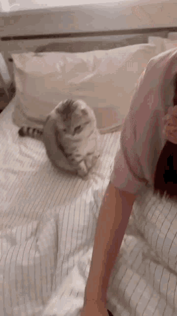 a woman is laying on a bed with a cat .