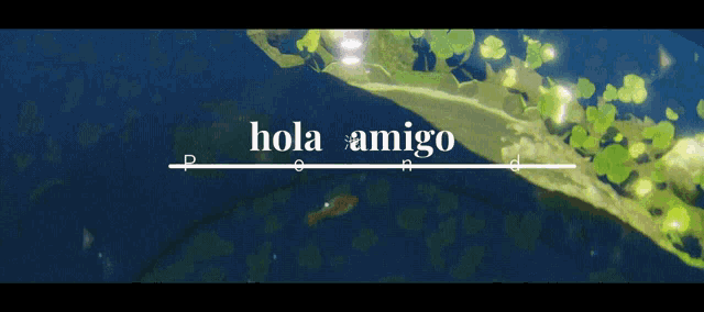 a picture of a pond with the words hola amigo written on it