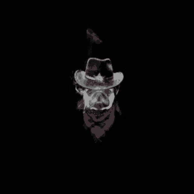 a pug wearing a cowboy hat and scarf