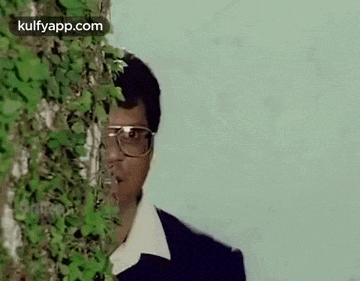 a man wearing glasses is peeking out from behind a tree trunk .