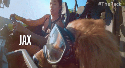 Excited The Pack GIF - Excited The Pack Happy GIFs