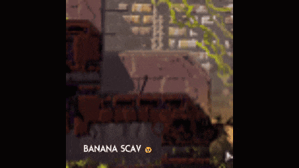 a video game called banana scav is shown