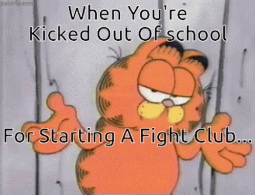 Garfield Fight GIF - Garfield Fight Fighting GIFs