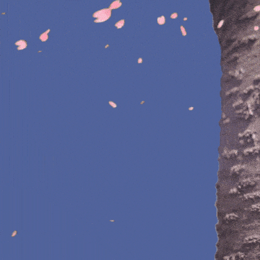 a blue background with actual ninjas and a ninja star