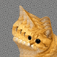 Trippy Cat GIF - Trippy Psychedelic Cat GIFs