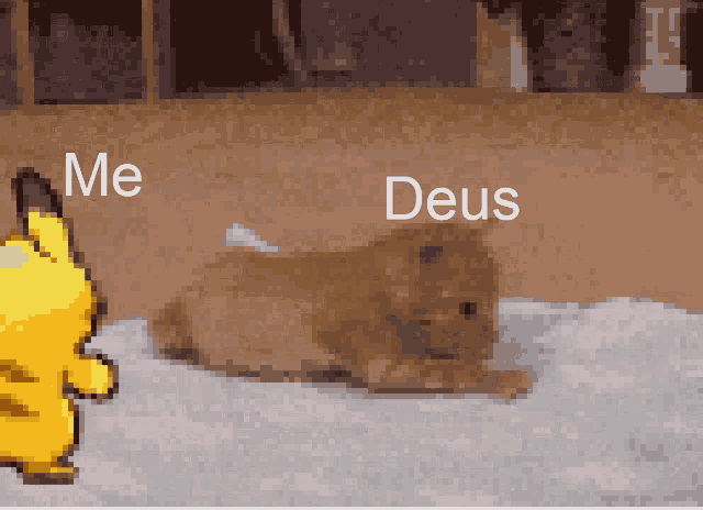 a pixelated image of a dog and a pikachu with the words me and deus