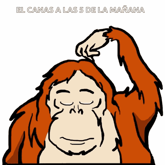 a cartoon of an orangutan with the words el canas a las 5 de la manana
