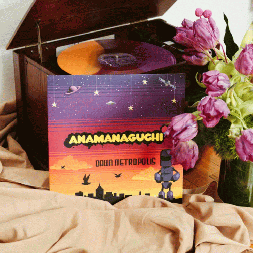 Anamanaguchi Vinyls GIF - Anamanaguchi Vinyls Chiptune GIFs