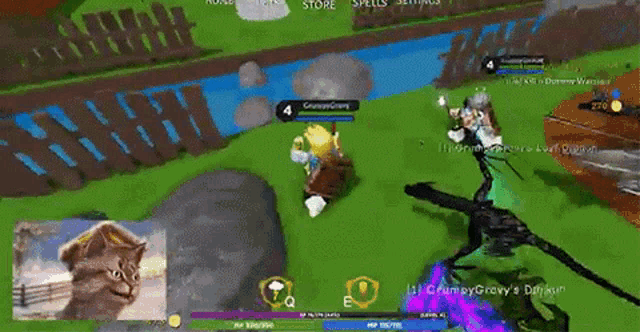a screenshot of a video game shows a cat and a dragon fighting