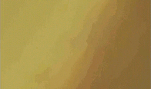Kuzco Yzma GIF - Kuzco Yzma Cat GIFs