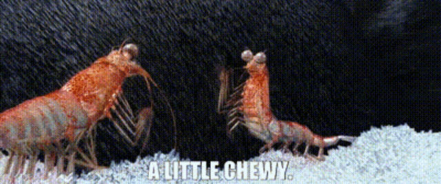 a couple of shrimp standing next to each other with the words " a little chewy " on the bottom