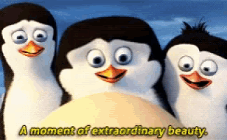 three penguins standing next to each other with the words a moment of extraordinary beauty