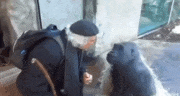 an elderly man is kneeling down next to a gorilla .
