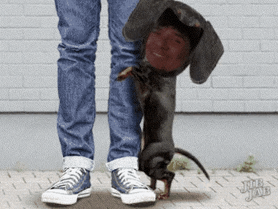 Kaboom Dog GIF - Kaboom Dog Weenie GIFs