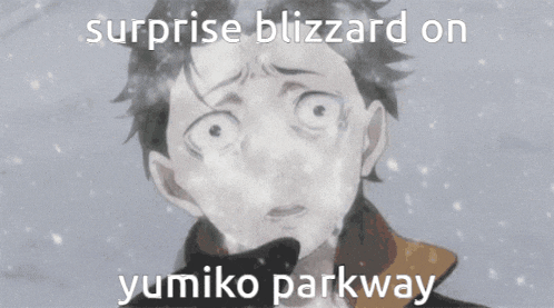 a surprise blizzard on yumiko parkway is written on a picture of a person