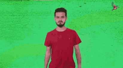 a man in a red shirt is standing in front of a green wall and says you got it