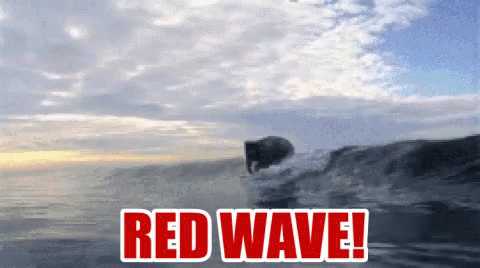 Sharkweek Redwave GIF - Sharkweek Redwave Surfing GIFs