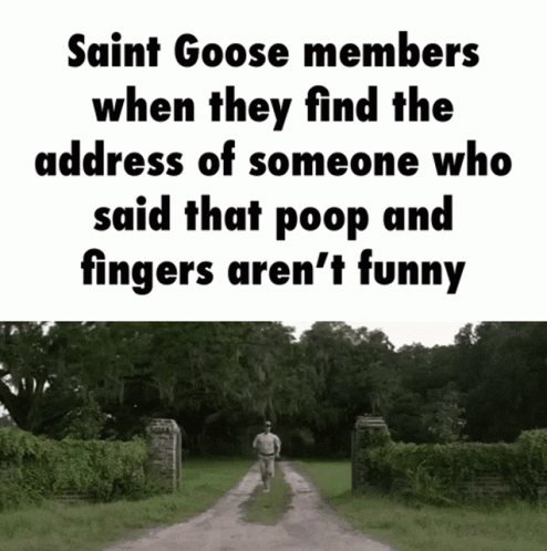 Saint Goose Run GIF - Saint Goose Run Forrest Gump GIFs