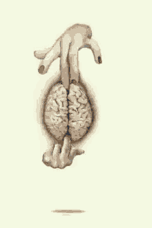 a drawing of a hand holding a brain in its hand .