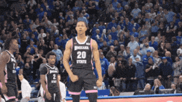 a basketball player with the number 20 on their jersey