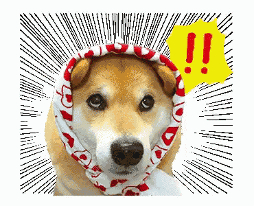 a dog wearing a scarf around its head with a yellow exclamation point above it