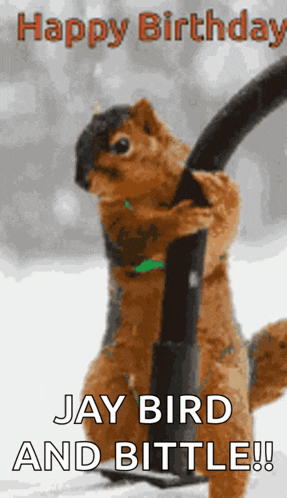 a picture of a squirrel holding a pole with the words happy birthday jay bird and bittle