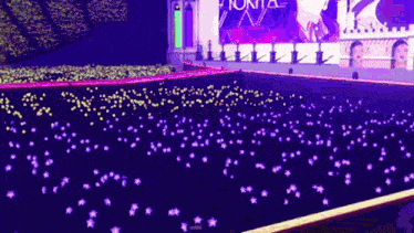 a bunch of purple stars are floating in the water .